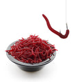 Soft Bloodworm Fishing Lures for Trout, Crappie & Panfish – 50/100/200 Pack